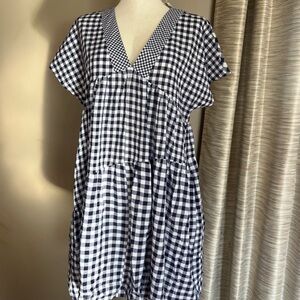 Anthropologie Navy and White Gingham Dress